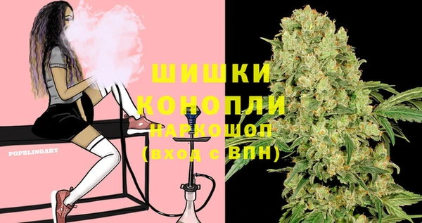бошки Богородицк