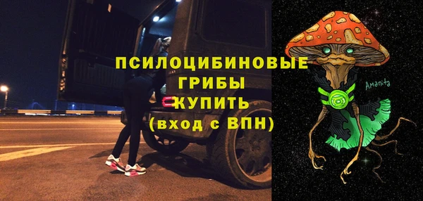 spice Богданович
