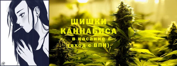 бошки Богородицк