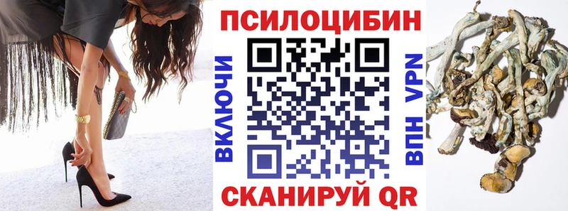 Галлюциногенные грибы мицелий  цены наркотик  Конаково 